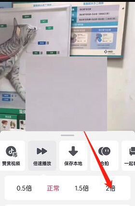抖音按住屏幕會2倍快進怎么開？