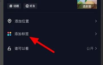 抖音上照片上的標(biāo)簽如何添加？