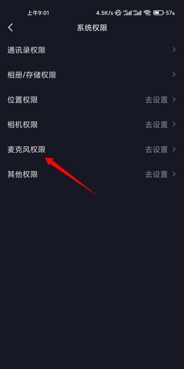 抖音拍視頻怎么打開麥克風？