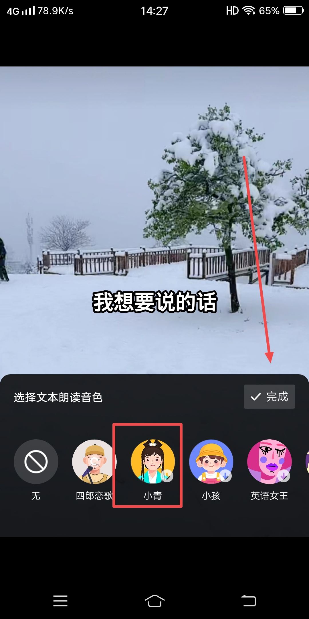 抖音發(fā)視頻怎么配自己想說的話？