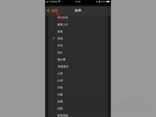 蘋果怎么設置抖音鬧鐘鈴聲？