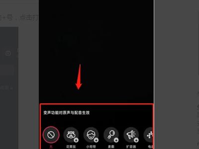 抖音特效的語音怎么弄？